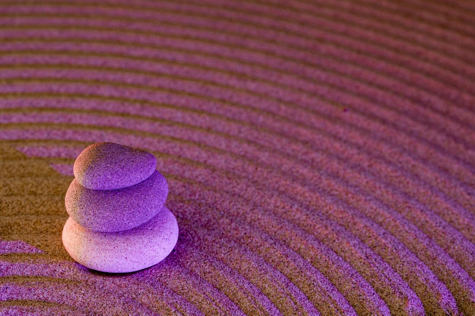 Zen Garden